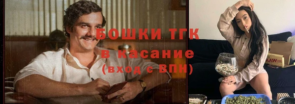 гашик Богородицк