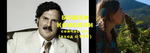 гашик Богородицк