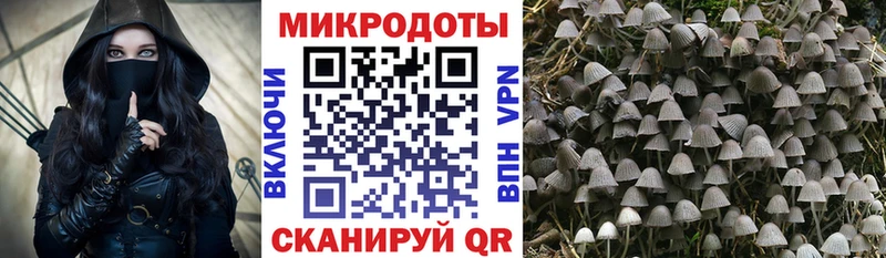 Псилоцибиновые грибы мухоморы  hydra зеркало  Наро-Фоминск 
